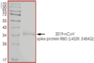 Product Element Image