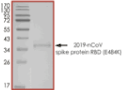 Product Element Image