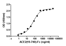 Product Element Image