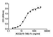Product Element Image