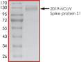 Product Element Image