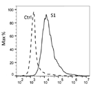 Formulation