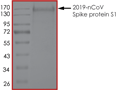 Product Element Image