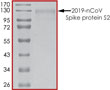 Product Element Image