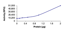 Product Element Image