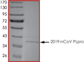 Product Element Image