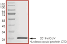 Product Element Image