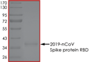 Product Element Image