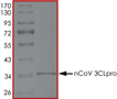Product Element Image